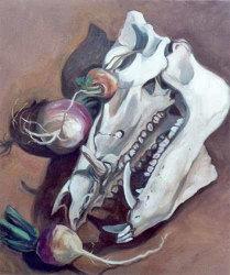Boar's Skull and Turnips - oil on canvas