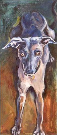 Star Greyhound - oil on canvas
